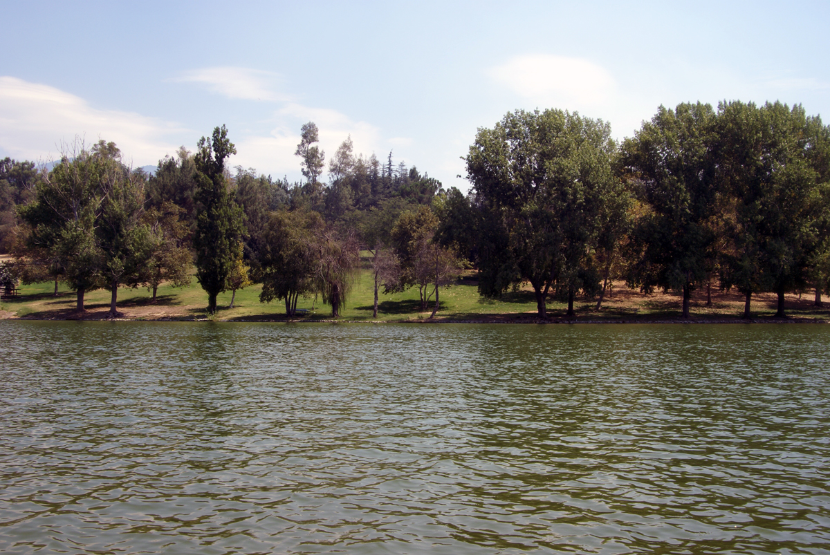 Green view of Guasti lake