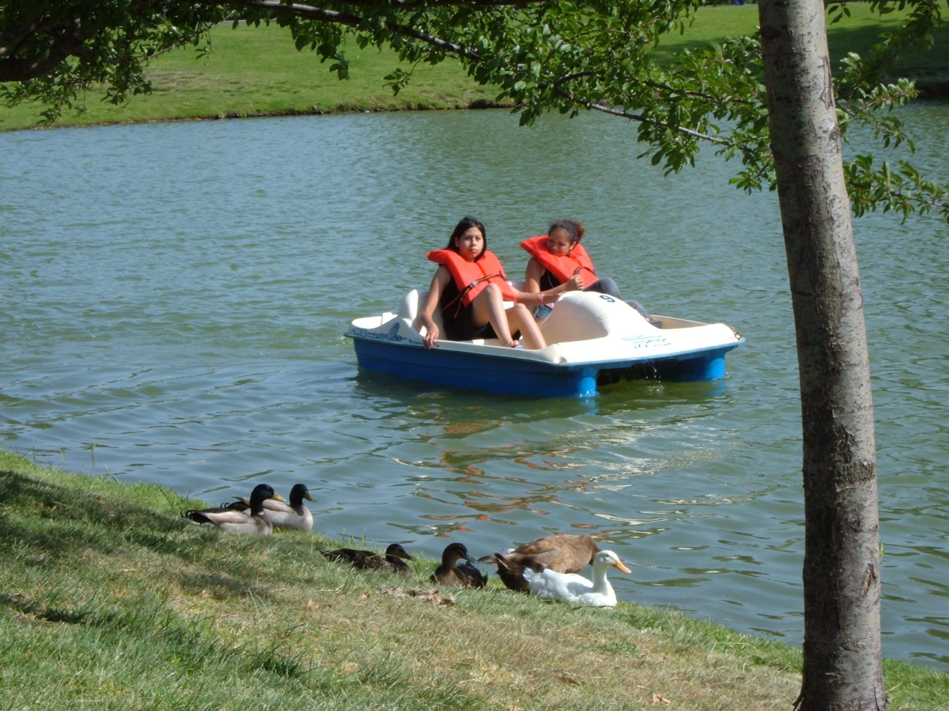 two people on a pedal boat