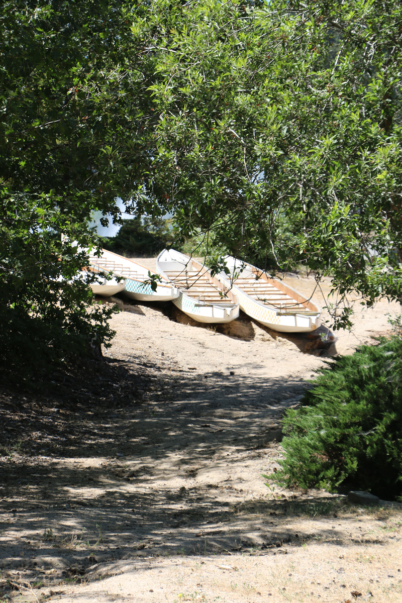 4 boats on the shore
