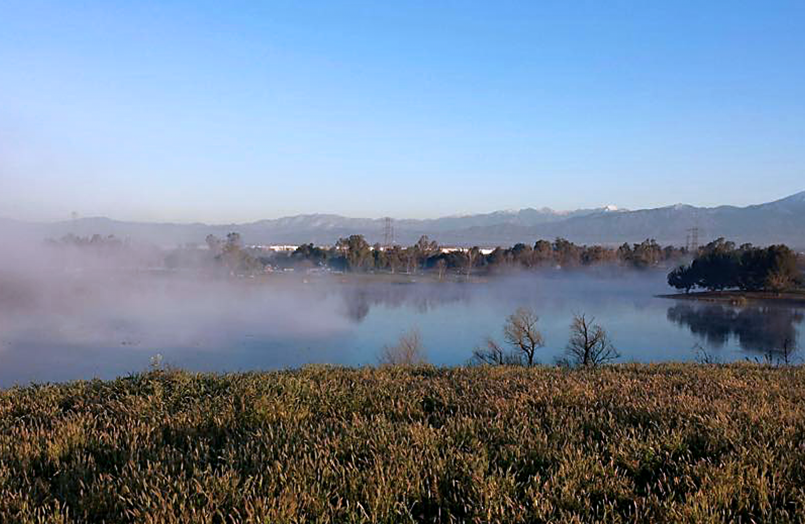 Early morning Prado Lake with layer of fog