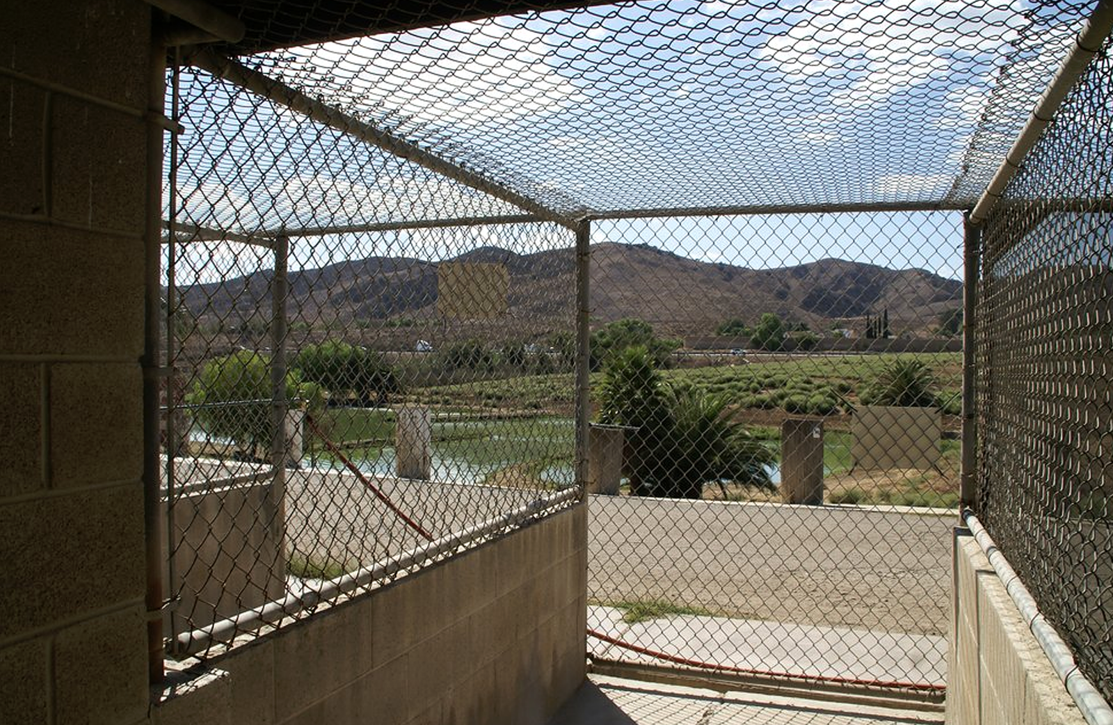 Inside view of the Prado dog park kennel overlooking grass and mountains in the background.