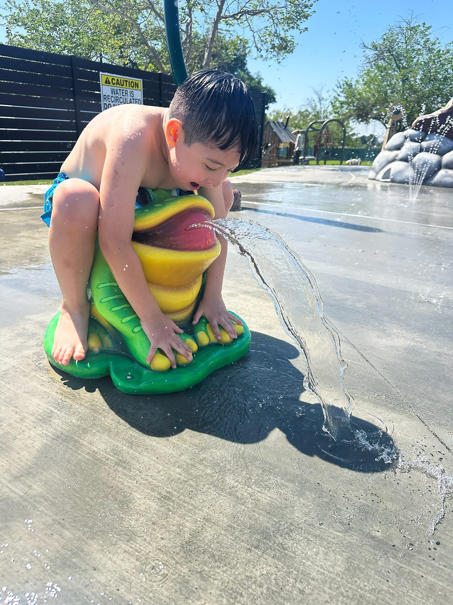 A young boy crouches over the splash pad frog water feature at Prado Regional Park.