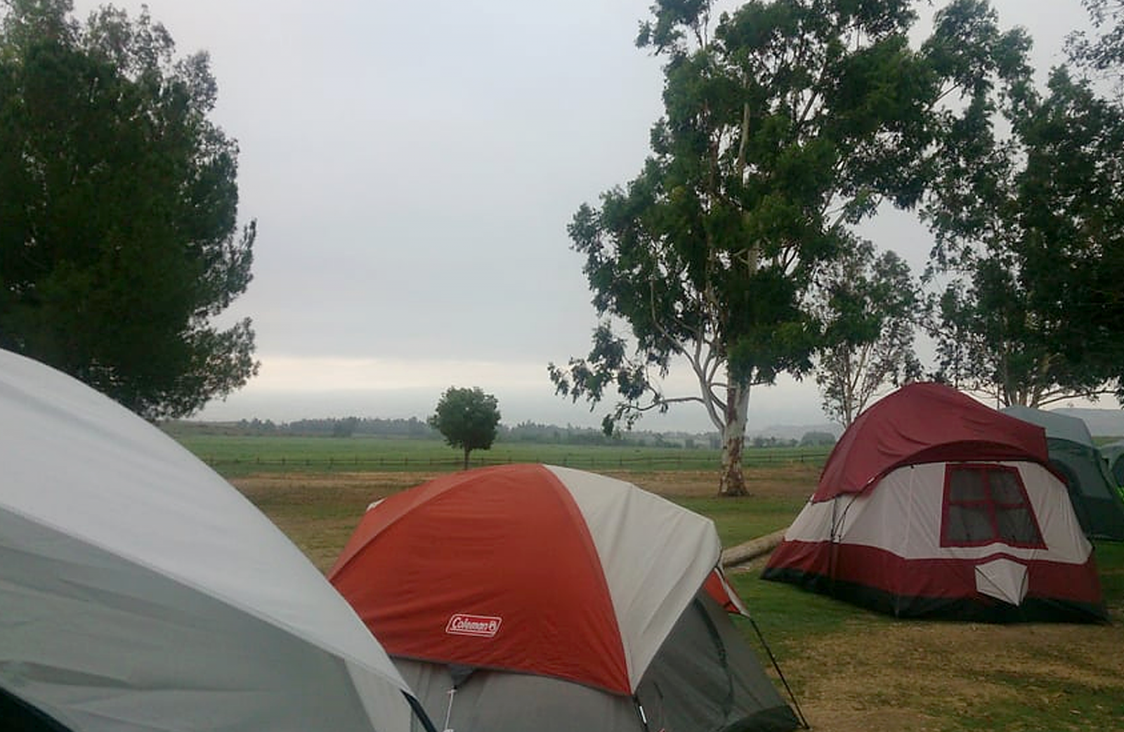 Several tents lined up on the grass at Prado park.