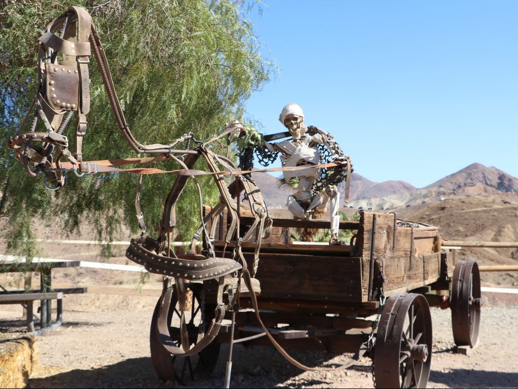 Skeleton driving a Haunted Wagon at Calico