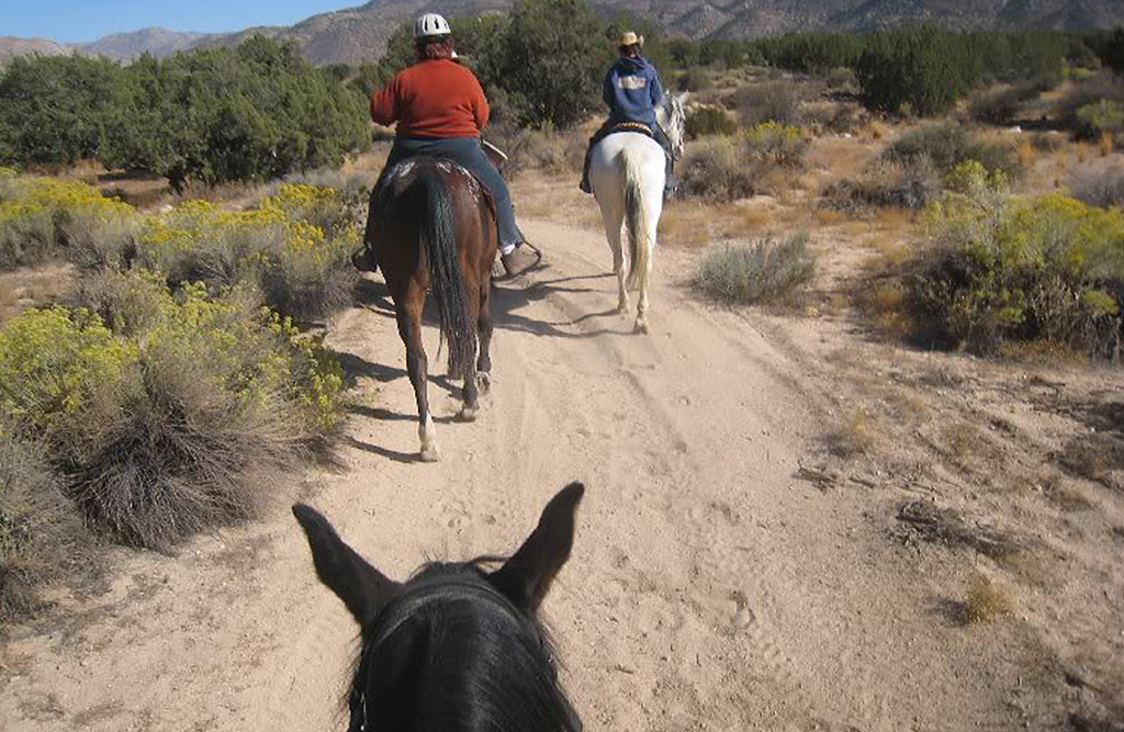 2 women riding horses on a dirt trail