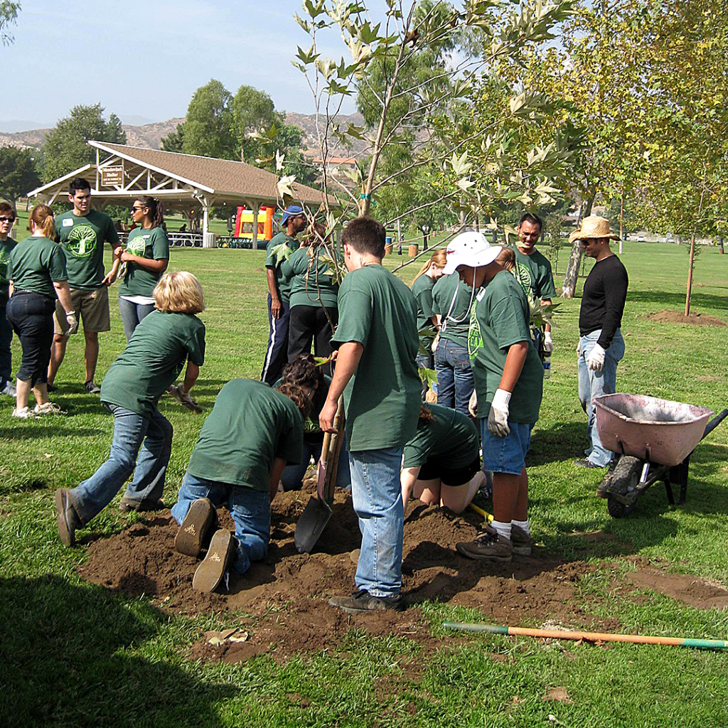 Student volunteers group planting trees in the park.