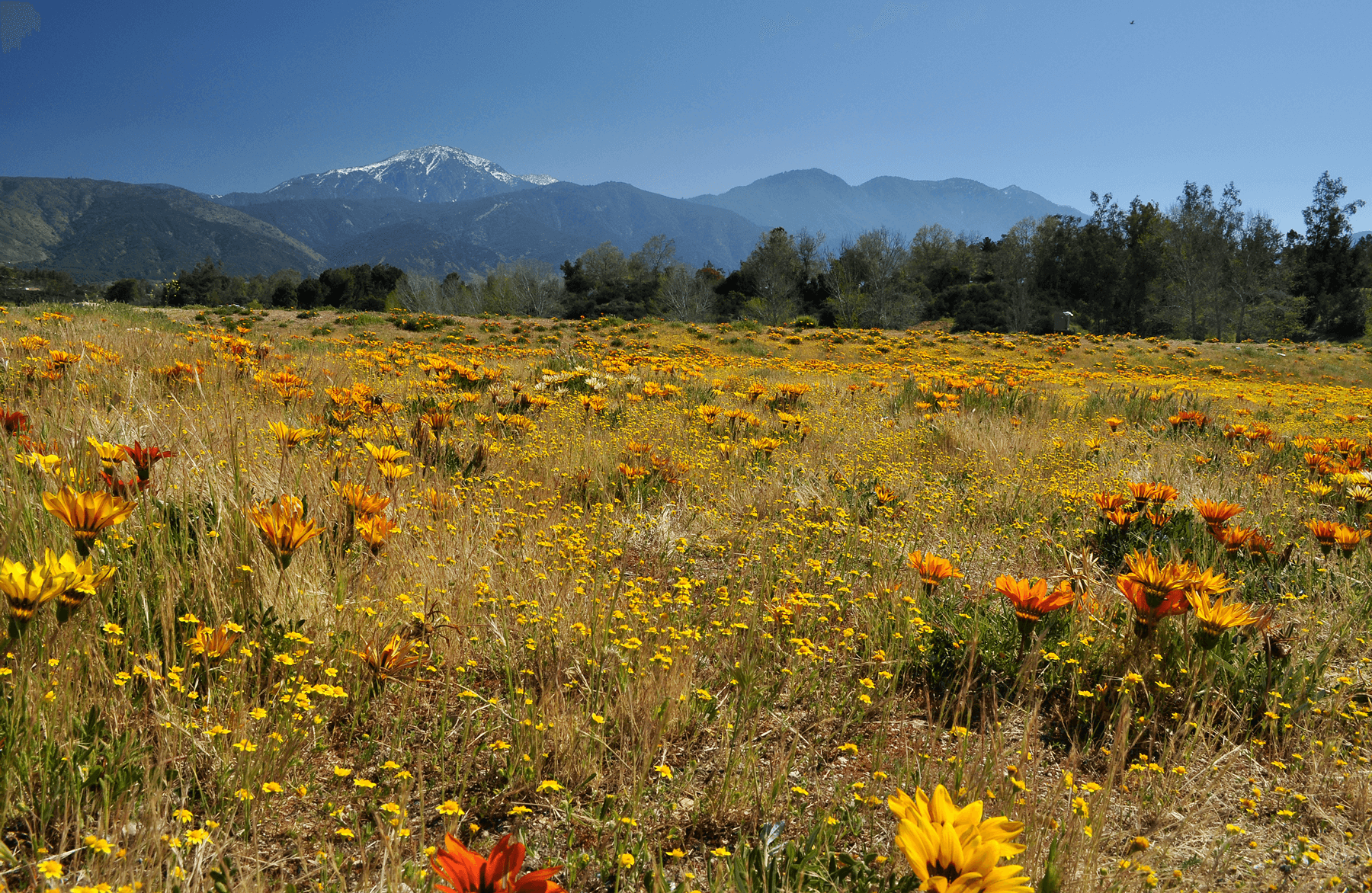 Camping in Yucaipa