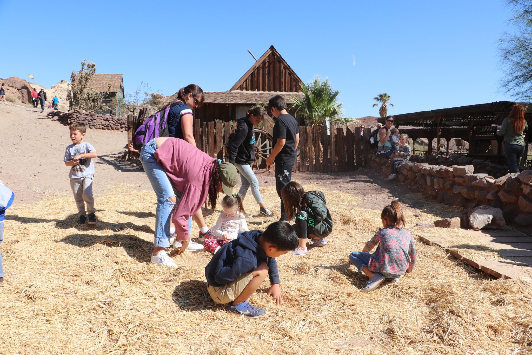 Calico Days – Parks