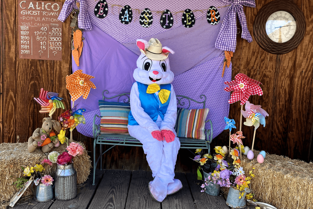 An Easter bunny -costumed park employee poses seated in front of a western background at Calico Ghost Town for photos.