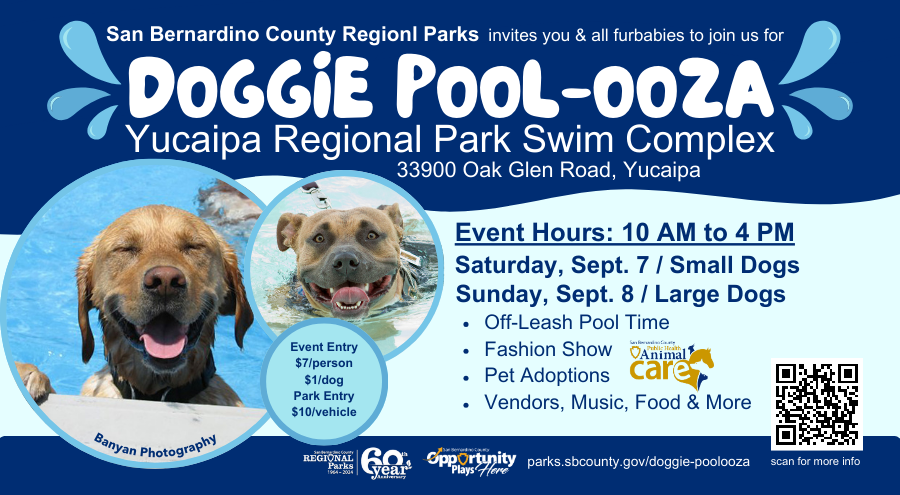 a Golden Retriever and Pit Bull smiling with information about the Doggie Pool-ooza event and QR code to scan for more information.