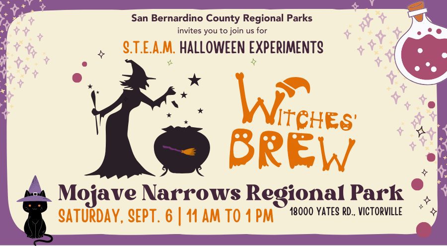 In bold font at the top reads San Bernardino County Regional Parks. In lighter font it reads invites you to join us for and then in an orange bold font the word S.T.E.A.M. in purple bold font Halloween Experiments. There is an illustration of a dark shadow image of a witch standing at a large kettle pot tossing an item in with some magical stars. There is a color straw broom emblem on the pot. In orange decorative font reads Witches Brew. On the right is an illustration of a cauldron bottle with a cork and some liquid inside. The graphic has bubbles and stars as decoration on the right and left-hand sides. Underneath is Mojave Narrows Regional Park, the park address, 18000 Yates Rd., Victorville and the date, Saturday, Sept. 6, 11 a.m. to 1 p.m. An illustration of a cat wearing a pointed purple witch’s hat is at the bottom left-hand corner.