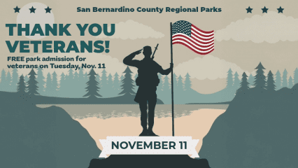 A silhouette of a soldier stands near a lake and trees saluting holding the American flag.
