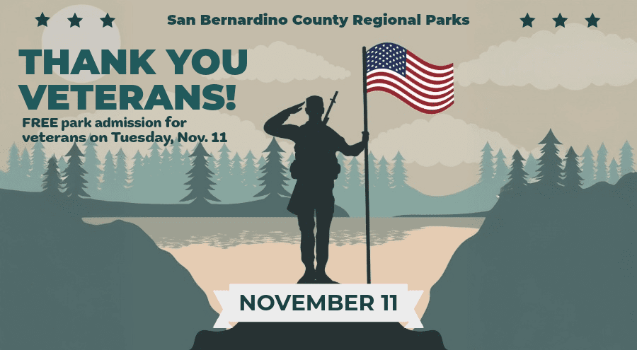 A silhouette of a soldier stands near a lake and trees saluting holding the American flag.