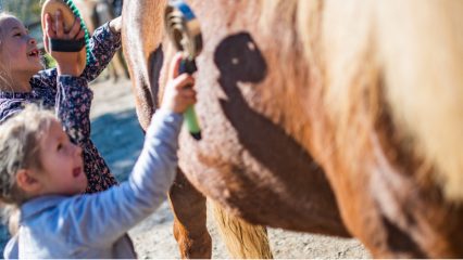 Two young girls brush a horse.