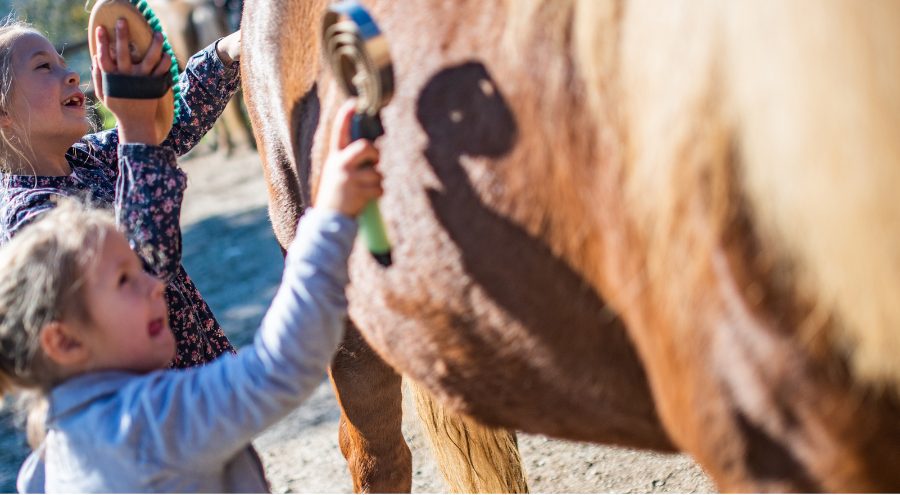 Two young girls brush a horse.