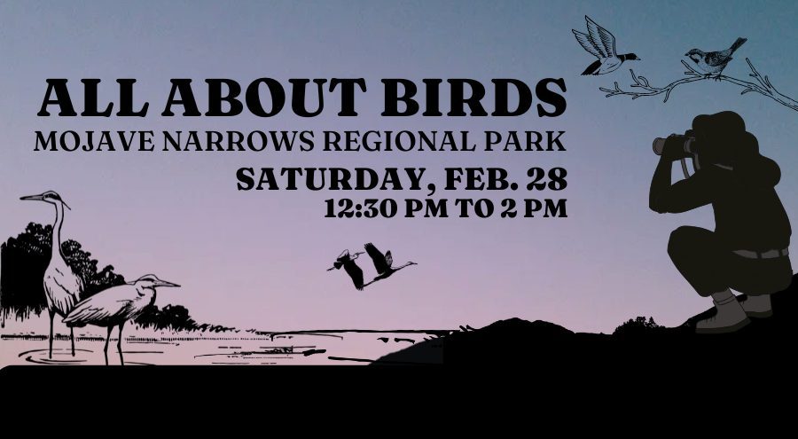 A background of birds and lake setting with a man squatting with binoculars.