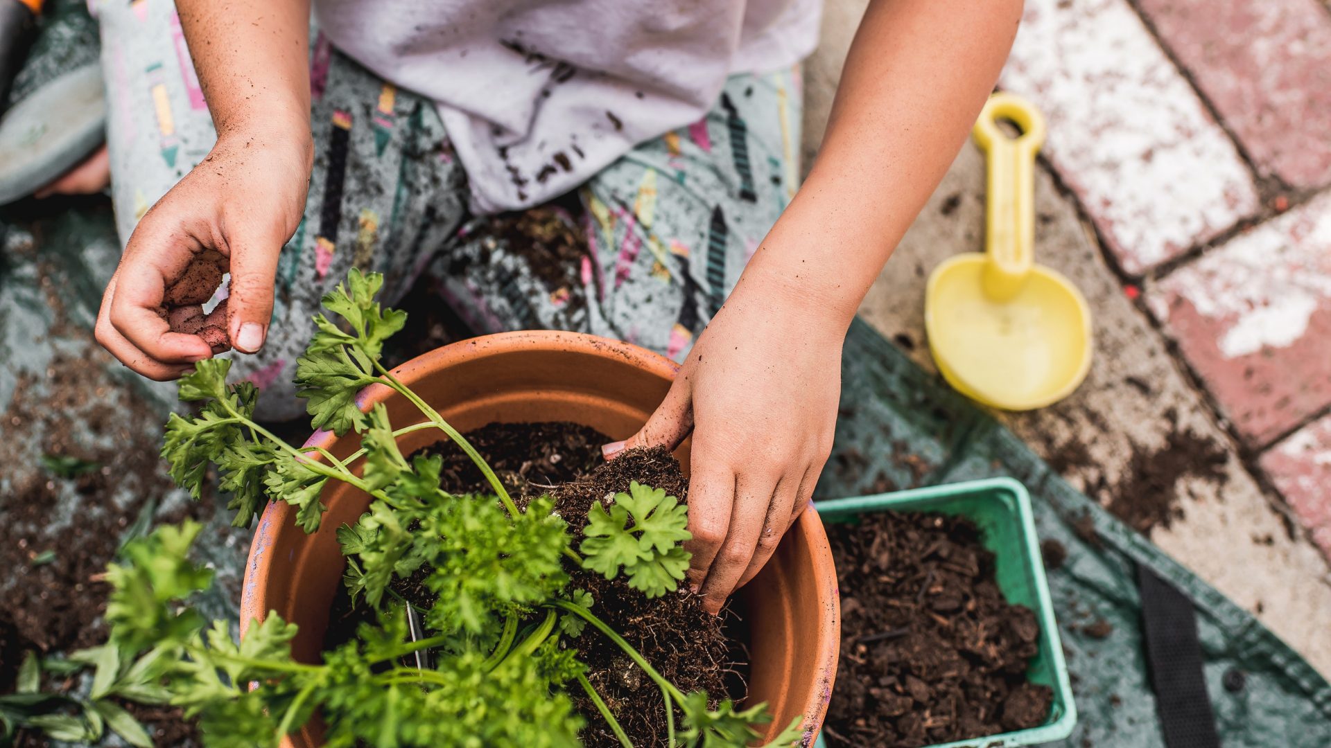 A pot of herbs with soil with two arms and hands and a yellow children’s shovel.