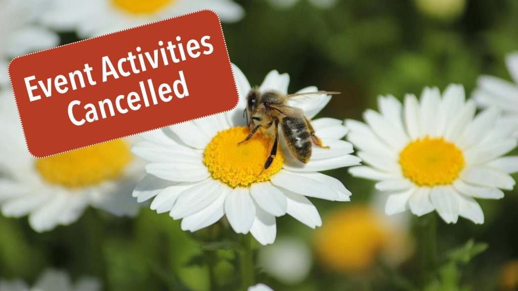 A bee sits on a daisy flower with text Event Activities Cancelled.