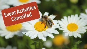A bee sits on a daisy flower with text Event Activities Cancelled.