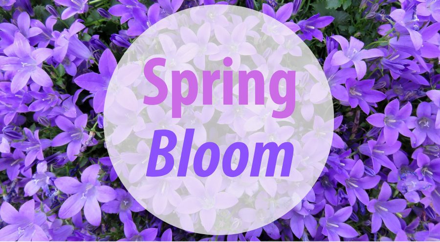 Purple flowers with text Spring Bloom in a white circle shape.