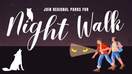 A night sky with an owl, coyote and two boys walking with a flashlight and with light flashing on predator eyes and the words Join Regional Parks For Night Walk.