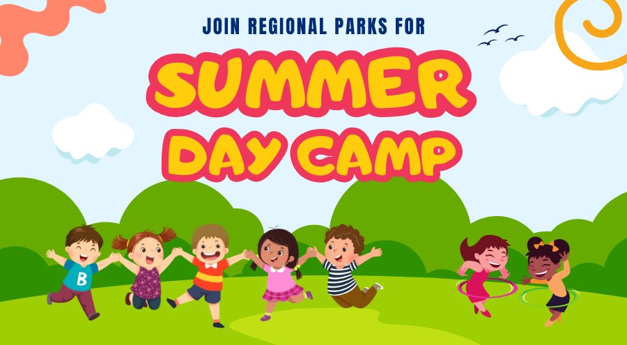 A park setting with kids playing on the grass and the words Join Regional Parks For Summer Day Camp.
