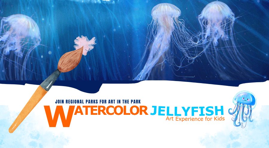 Illustrations of pink jellyfish under water with a paint brush and blotch of pastel pink color with the words Join Regional Parks For, Watercolor Jellyfish, Art Experience for Kids with a jellyfish.